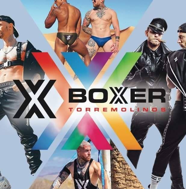 Boxer