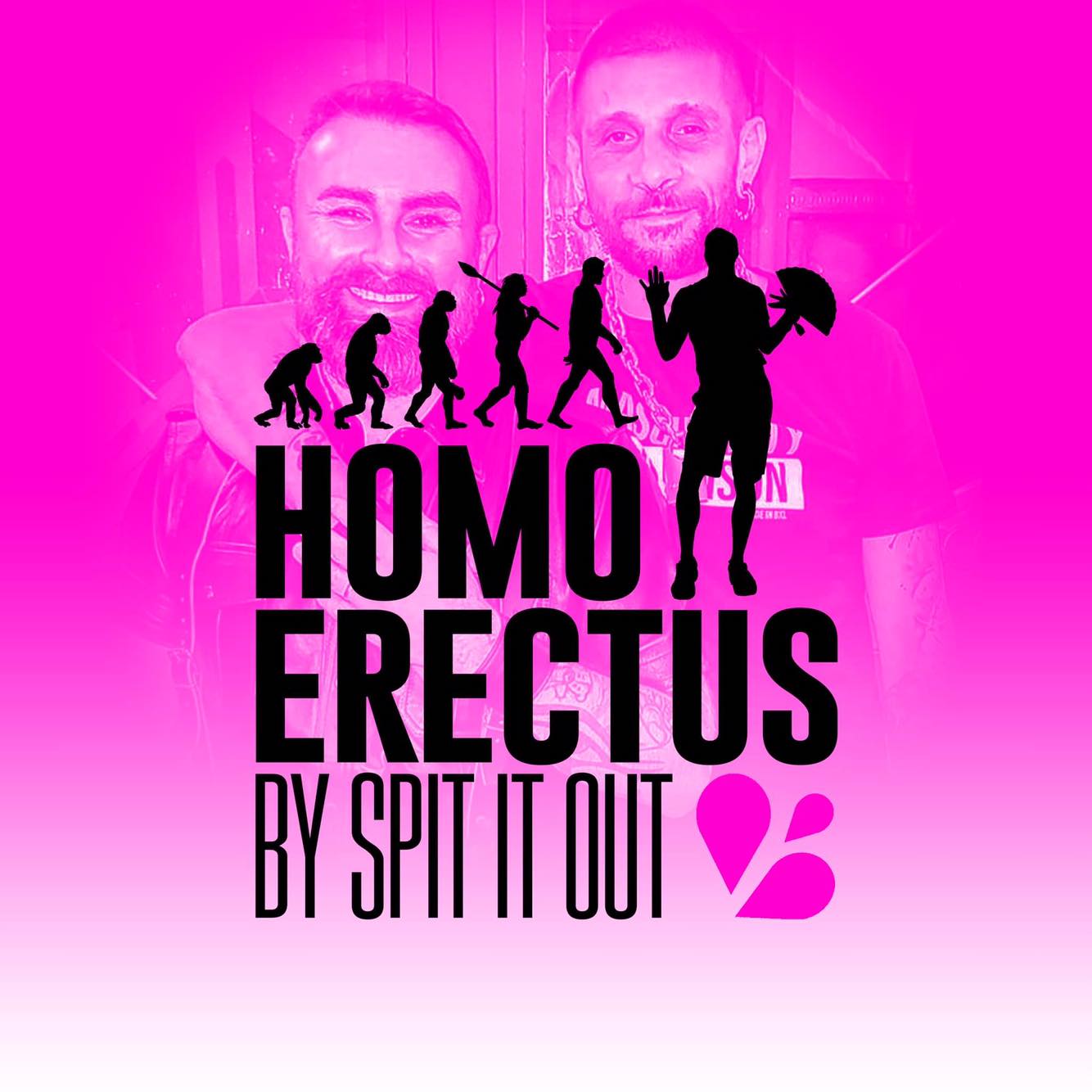 Homo erectus