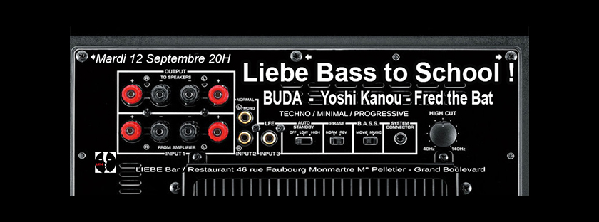 Liebe bass to school