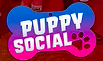 Puppy social